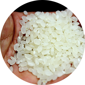 ありのまんまお気に入り